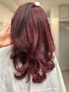 Frisur aus dem Salon